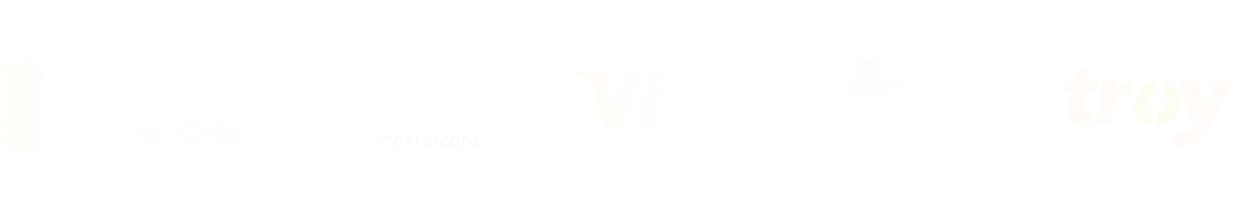 valemgo-website-iyzico-güvenli-ödeme